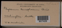 Image Associated With the Occurence